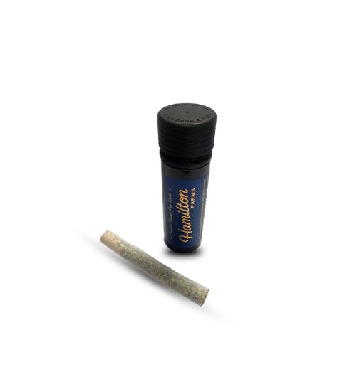 PANAMA RED | 1 G | SINGLE PREROLL