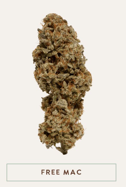 FREE MAC | 3.5 G | FLOWER