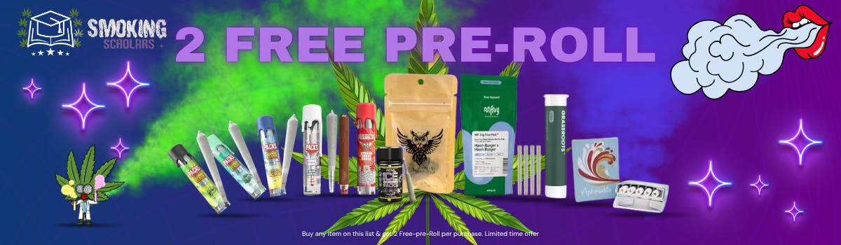 BUY 1 GET 2 FREE
