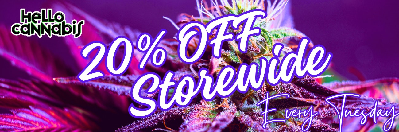 Tuesday Deal Only! 20% OFF Storewide