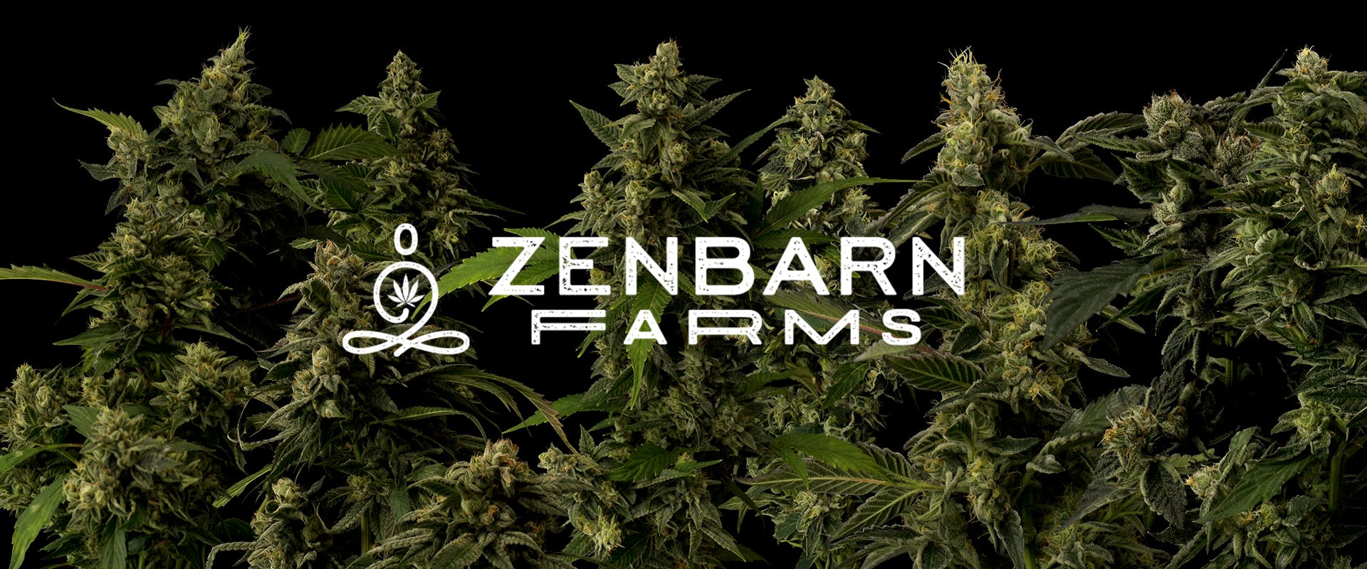 Zenbarn May Harvest Strains