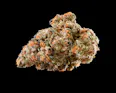 Berkshire Roots Mandarin Cookies (H-S) 3.5g | 35.45% TAC - 3.5g