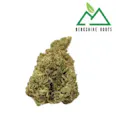 Berkshire Roots Snowdog (H-S) 3.5g | 25.04% TAC - 3.5g