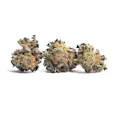 253 Ruby Violet (H) Popcorn Buds 14g - 14g