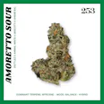 253 Amoretto Sour (H) 3.5g | 27.64% TAC - 3.5g