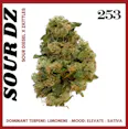 253 Sour DZ (S) 28g Smalls | 21.18% TAC - 28g