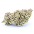 Sira Naturals N.Y. Sour Diesel (H) 28g | 32.59% TAC - 28g