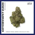 253 Governmint Oasis (H) Popcorn Buds 28g | 28.24% TAC - 28g