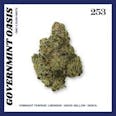 253 Governmint Oasis (H) Popcorn Buds 3.5g | 28.24% TAC - 3.5g