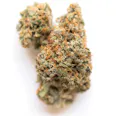 C.A.C. Georgia Pie (H) Popcorn Buds 3.5g | 24.11% TAC - 3.5g