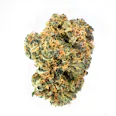 C.A.C. Dionysus (H) 3.5g | 27.01% TAC - 3.5g