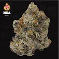 NEA Meat Breath (I) 3.5g | 33.23% TAC - 3.5g