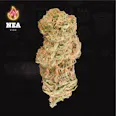 NEA Durban Poison (S) 3.5g | 28.37% TAC - 3.5g