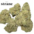Strane Highaleah (H) Popcorn Buds 3.5g | 24.61% TAC - 3.5g