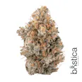 Bostica Confiscated Chem (H-S) 3.5g | 30.9% TAC - 3.5g