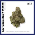 253 Governmint Oasis (H) 3.5g | 31.53% TAC - 3.5g