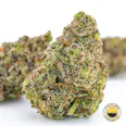 Impressed K Dynamite (H-I) Popcorn Buds 3.5g | 27.62% TAC - 3.5g