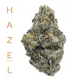 Hazel E85 (H) 14g | 34.47% TAC - 14g