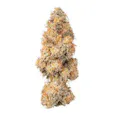 Bostica Scotch & Soda (H) 3.5g | 31.51% TAC - 3.5g