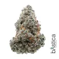 Bostica Mind Melt (H-I) 3.5g | 35.30% TAC - 3.5g