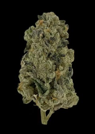 6 Point Cannabis | Krazy Madness | Flower | Hybrid | 3.5g