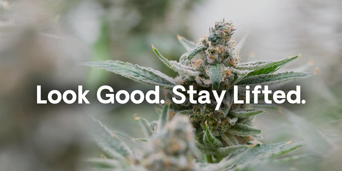 NEW low prices! Apparel & Merch