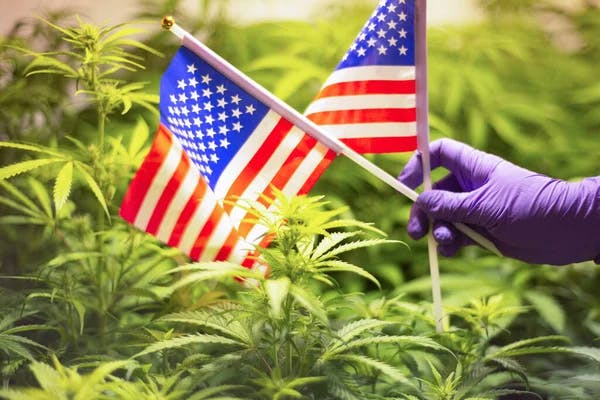 4TH OF JULY Week Sale 20% OFF icon