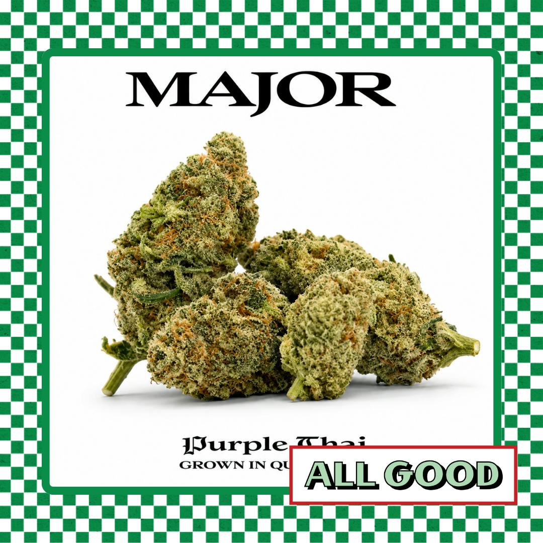 Major | Purple Thai | Flower | SatHyb | 3.5g