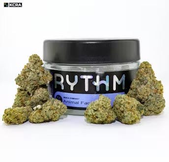 CHEDDAR CHEEZE | 3.5 G