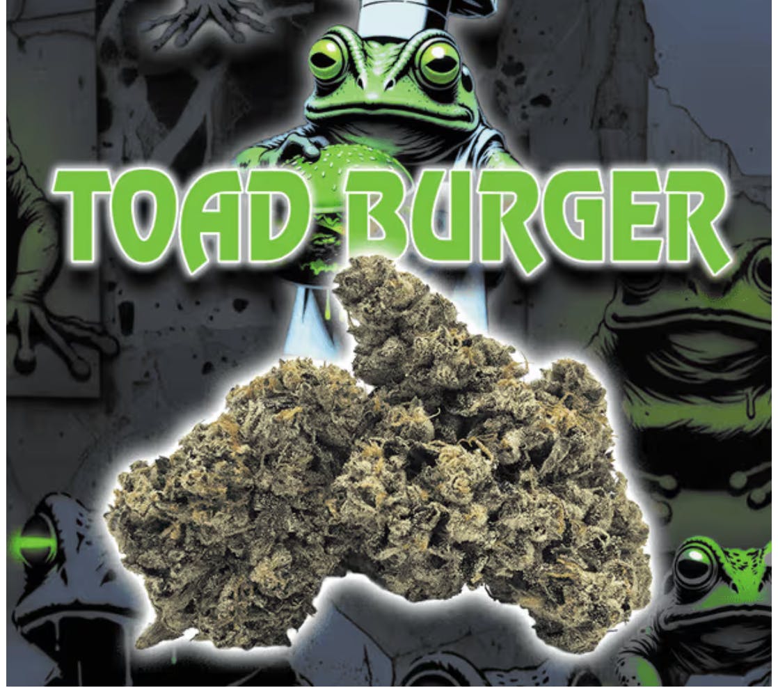 Green Dragon: Toad Burger