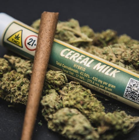 Breakfast Connections | Cereal Milk | Infused Preroll| 1g