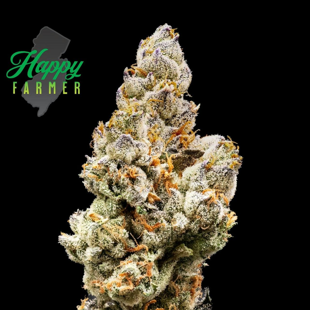 HAPPY FARMER | GUNPOWDER MILKSHAKE | 3.5G FLOWER - 1/8oz in Freehold