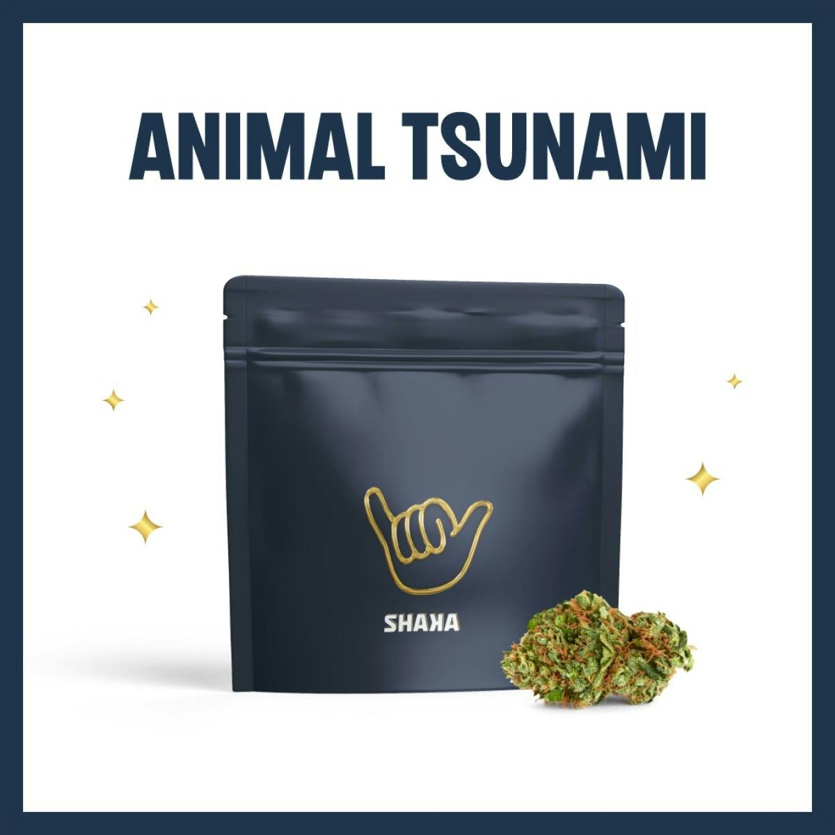 Shaka | Animal Tsunami | 3.5g Flower - 3.5 G - 1/8oz in Freehold