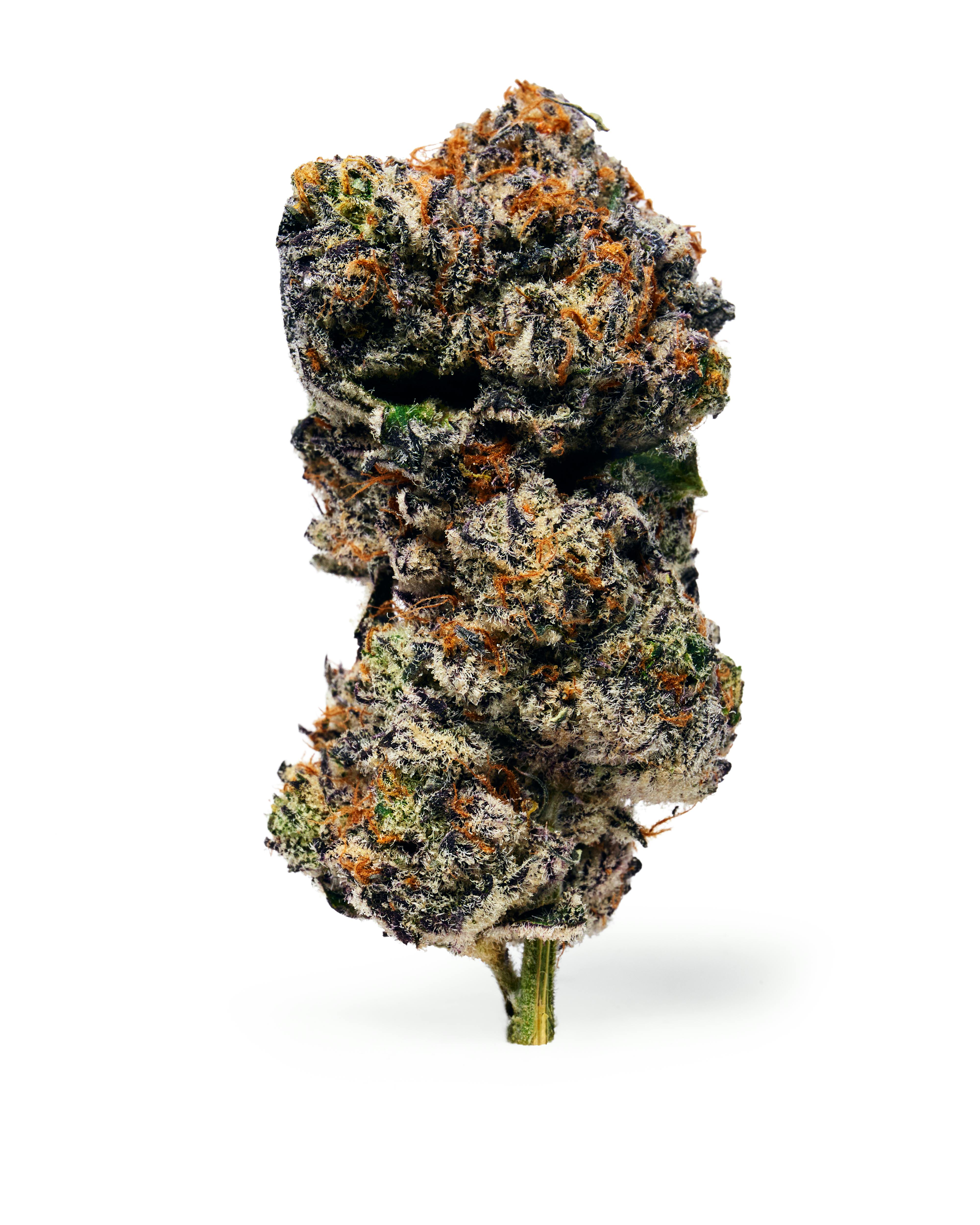 Dada | White Choc Chip | Flower | Indica Hybrid | 3.5g