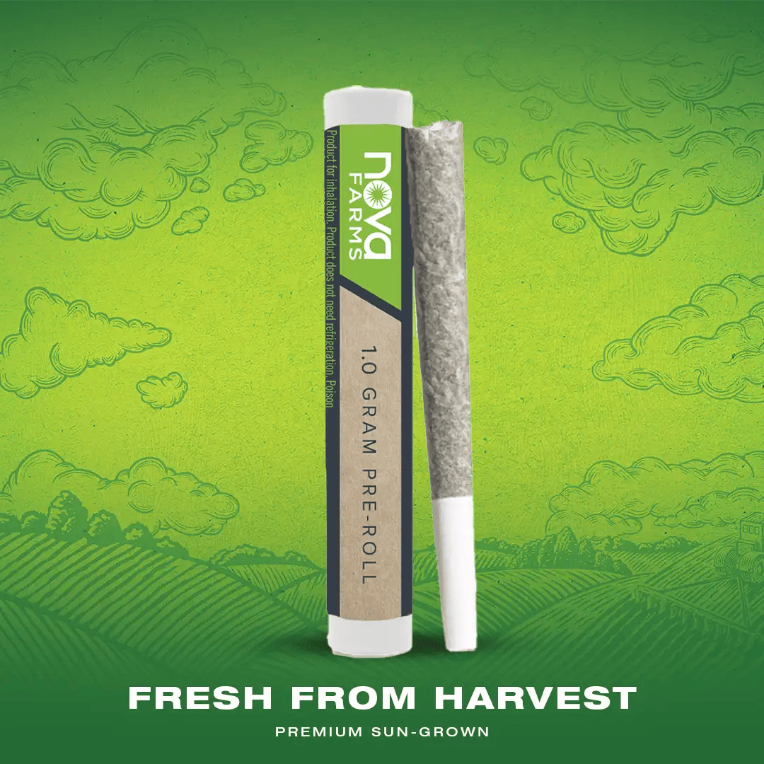 elf bar vape uk Infused Blunts, Full-Spectrum Vapes, Live Rosin main image 1