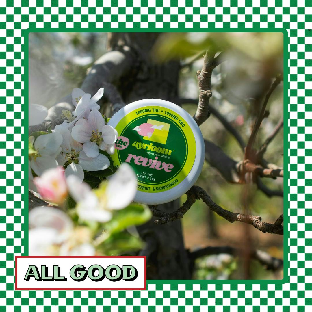 Ayrloom | 1 000mg 1:1 THC:CBD Revive Balm | 2.3oz