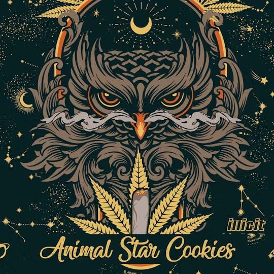 Animal Star Cookies