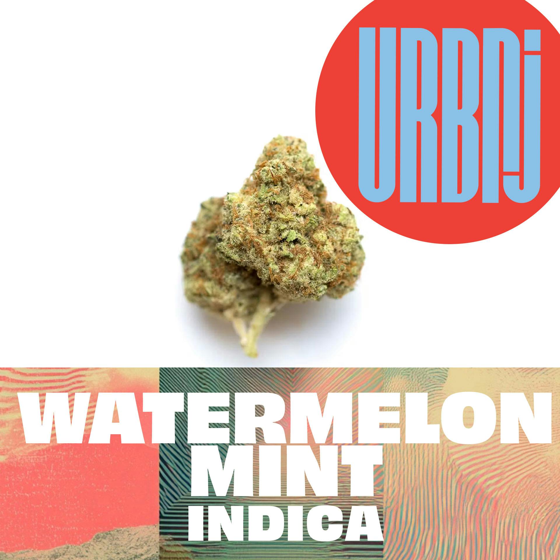 Watermelon Mint- URBNJ