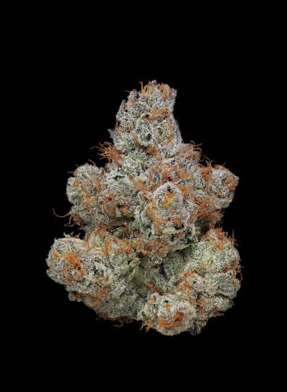 Diamond Bar - Clade9 - 3.