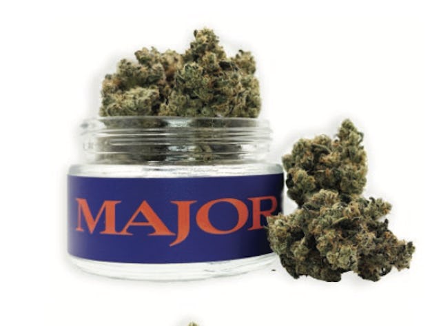 Major | Flower | 3.5g | JFK