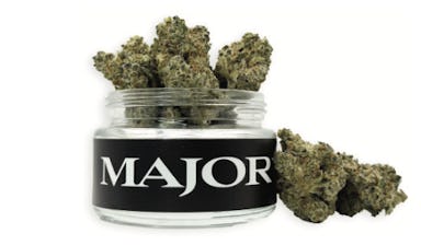 Major | Flower | 3.5g | Purgatorio