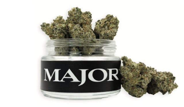 Major | Flower | 3.5g | Purgatorio