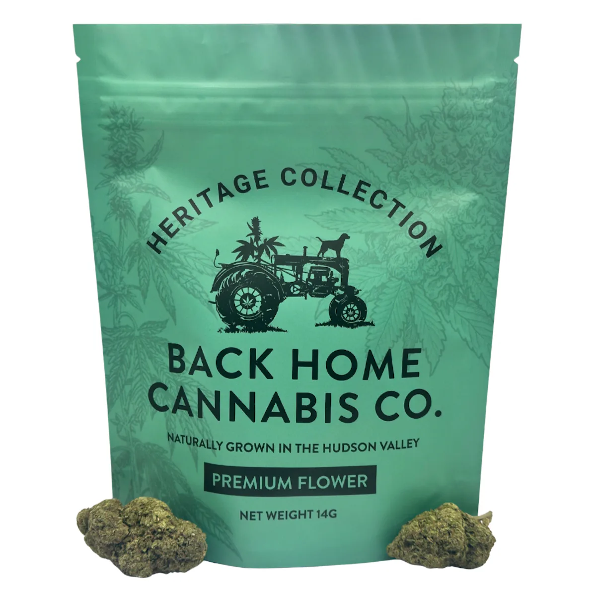 Back Home Cannabis | Flower | 14g | Jack Herer