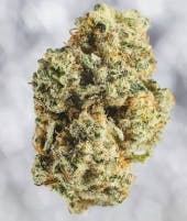 Fly Weight | Jelly Cake | Flower | Hybrid | 3.5g