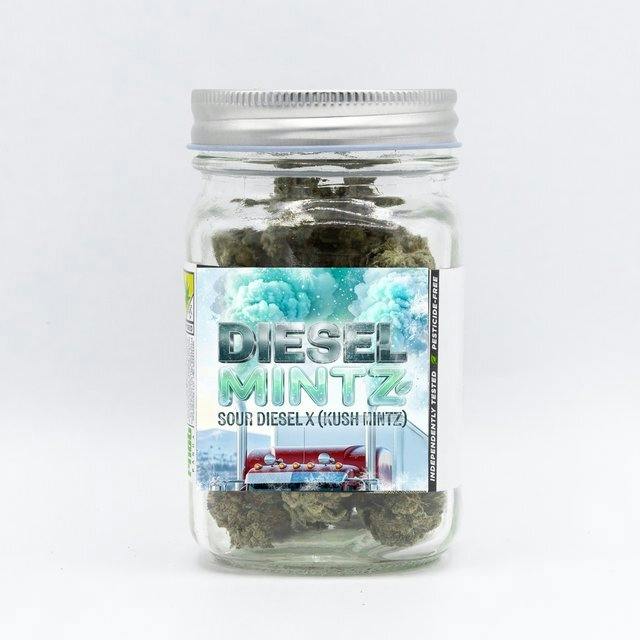 Diesel Mintz