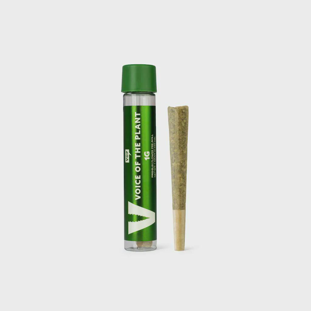 VOP · Single · 1g · Indoor Gelato 41 by Voice Of Plants