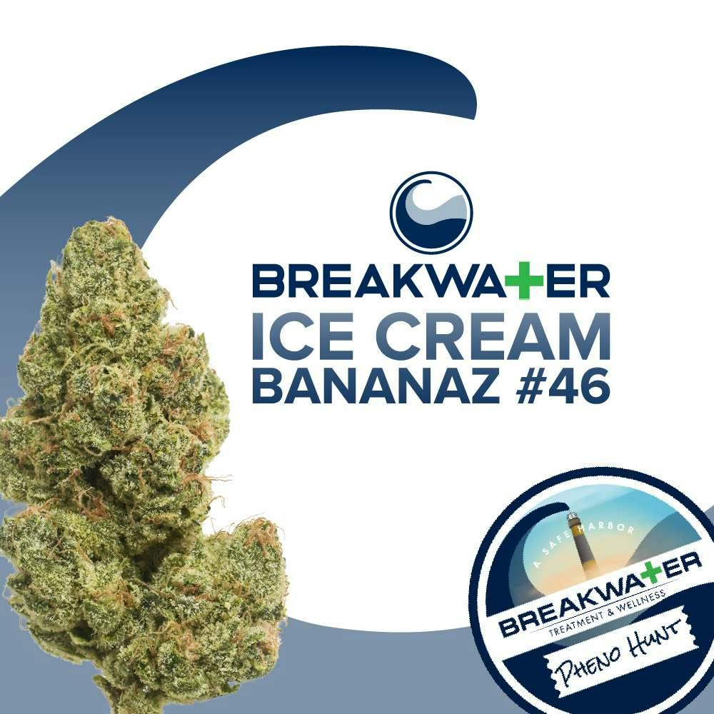 Ice Cream Bananaz #46