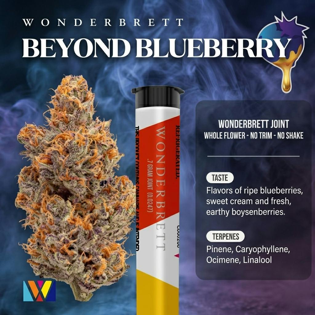 Beyond Blueberry - 0.7g Single Pre-Roll