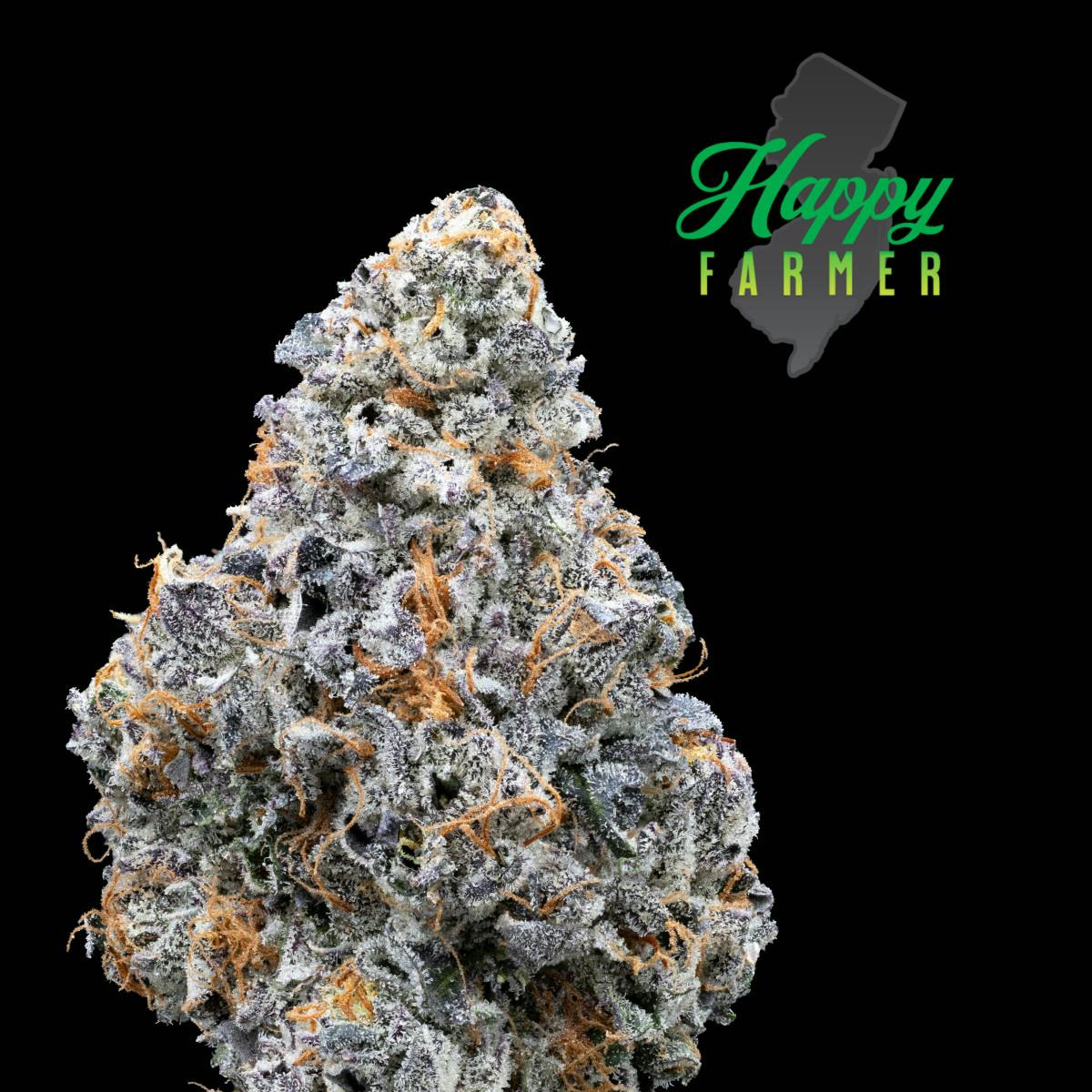 Lemon Cherry Fritter - 3.5g Flower