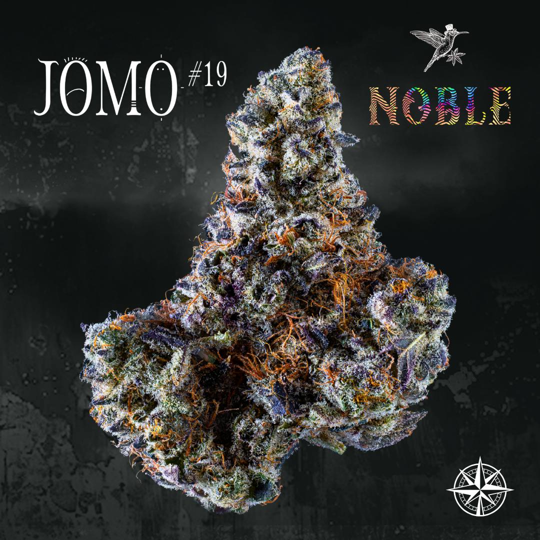 Jomo #19 - 7g Flower